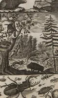 Picture 11 of 15 from Naturgeschichte für Kinder (1780), leaf 736