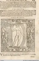 An illustration from (Band 1) (1613)