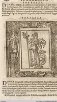 An illustration from (Band 1) (1613)