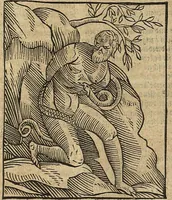 An illustration from (Band 2) (1670)