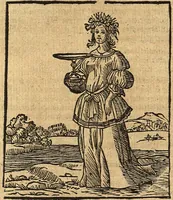 An illustration from (Band 2) (1670)