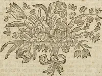 Picture 17 of 62 from (Band 1): ... in welchem die in sechs Classen eingetheilte Papilionen mit ihrem Ursprung, Verwandlung und allen wunderbaren Eigenschafften, aus eigener Erfahrung beschrieben und in sauber illuminirten Kupfern, nach dem Leben abgebildet, vorgestellet werden von August Johann Rösel, Miniatur-Mahlern: Nebst einer Vorrede, in welcher von dem Nutzen derer Insecten gehandelt, was sie seyen gezeiget, und von der Eintheilung dererselben Nachricht gegeben wird (1746), leaf 240