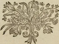 Picture 18 of 62 from (Band 1): ... in welchem die in sechs Classen eingetheilte Papilionen mit ihrem Ursprung, Verwandlung und allen wunderbaren Eigenschafften, aus eigener Erfahrung beschrieben und in sauber illuminirten Kupfern, nach dem Leben abgebildet, vorgestellet werden von August Johann Rösel, Miniatur-Mahlern: Nebst einer Vorrede, in welcher von dem Nutzen derer Insecten gehandelt, was sie seyen gezeiget, und von der Eintheilung dererselben Nachricht gegeben wird (1746), leaf 258
