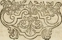 Picture 20 of 62 from (Band 1): ... in welchem die in sechs Classen eingetheilte Papilionen mit ihrem Ursprung, Verwandlung und allen wunderbaren Eigenschafften, aus eigener Erfahrung beschrieben und in sauber illuminirten Kupfern, nach dem Leben abgebildet, vorgestellet werden von August Johann Rösel, Miniatur-Mahlern: Nebst einer Vorrede, in welcher von dem Nutzen derer Insecten gehandelt, was sie seyen gezeiget, und von der Eintheilung dererselben Nachricht gegeben wird (1746), leaf 283