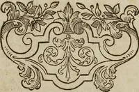 Picture 27 of 62 from (Band 1): ... in welchem die in sechs Classen eingetheilte Papilionen mit ihrem Ursprung, Verwandlung und allen wunderbaren Eigenschafften, aus eigener Erfahrung beschrieben und in sauber illuminirten Kupfern, nach dem Leben abgebildet, vorgestellet werden von August Johann Rösel, Miniatur-Mahlern: Nebst einer Vorrede, in welcher von dem Nutzen derer Insecten gehandelt, was sie seyen gezeiget, und von der Eintheilung dererselben Nachricht gegeben wird (1746), leaf 364