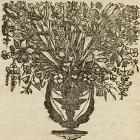 Picture 29 of 62 from (Band 1): ... in welchem die in sechs Classen eingetheilte Papilionen mit ihrem Ursprung, Verwandlung und allen wunderbaren Eigenschafften, aus eigener Erfahrung beschrieben und in sauber illuminirten Kupfern, nach dem Leben abgebildet, vorgestellet werden von August Johann Rösel, Miniatur-Mahlern: Nebst einer Vorrede, in welcher von dem Nutzen derer Insecten gehandelt, was sie seyen gezeiget, und von der Eintheilung dererselben Nachricht gegeben wird (1746), leaf 373