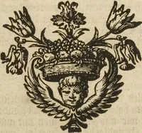 Picture 37 of 62 from (Band 1): ... in welchem die in sechs Classen eingetheilte Papilionen mit ihrem Ursprung, Verwandlung und allen wunderbaren Eigenschafften, aus eigener Erfahrung beschrieben und in sauber illuminirten Kupfern, nach dem Leben abgebildet, vorgestellet werden von August Johann Rösel, Miniatur-Mahlern: Nebst einer Vorrede, in welcher von dem Nutzen derer Insecten gehandelt, was sie seyen gezeiget, und von der Eintheilung dererselben Nachricht gegeben wird (1746), leaf 463