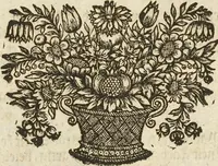 An illustration from (Band 1): ... in welchem die in sechs Classen eingetheilte Papilionen mit ihrem Ursprung, Verwandlung und allen wunderbaren Eigenschafften, aus eigener Erfahrung beschrieben und in sauber illuminirten Kupfern, nach dem Leben abgebildet, vorgestellet werden von August Johann Rösel, Miniatur-Mahlern: Nebst einer Vorrede, in welcher von dem Nutzen derer Insecten gehandelt, was sie seyen gezeiget, und von der Eintheilung dererselben Nachricht gegeben wird (1746)