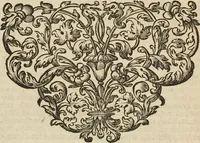An illustration from (Band 1): ... in welchem die in sechs Classen eingetheilte Papilionen mit ihrem Ursprung, Verwandlung und allen wunderbaren Eigenschafften, aus eigener Erfahrung beschrieben und in sauber illuminirten Kupfern, nach dem Leben abgebildet, vorgestellet werden von August Johann Rösel, Miniatur-Mahlern: Nebst einer Vorrede, in welcher von dem Nutzen derer Insecten gehandelt, was sie seyen gezeiget, und von der Eintheilung dererselben Nachricht gegeben wird (1746)