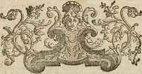 Picture 51 of 62 from (Band 1): ... in welchem die in sechs Classen eingetheilte Papilionen mit ihrem Ursprung, Verwandlung und allen wunderbaren Eigenschafften, aus eigener Erfahrung beschrieben und in sauber illuminirten Kupfern, nach dem Leben abgebildet, vorgestellet werden von August Johann Rösel, Miniatur-Mahlern: Nebst einer Vorrede, in welcher von dem Nutzen derer Insecten gehandelt, was sie seyen gezeiget, und von der Eintheilung dererselben Nachricht gegeben wird (1746), leaf 616