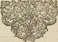 Picture 53 of 62 from (Band 1): ... in welchem die in sechs Classen eingetheilte Papilionen mit ihrem Ursprung, Verwandlung und allen wunderbaren Eigenschafften, aus eigener Erfahrung beschrieben und in sauber illuminirten Kupfern, nach dem Leben abgebildet, vorgestellet werden von August Johann Rösel, Miniatur-Mahlern: Nebst einer Vorrede, in welcher von dem Nutzen derer Insecten gehandelt, was sie seyen gezeiget, und von der Eintheilung dererselben Nachricht gegeben wird (1746), leaf 651