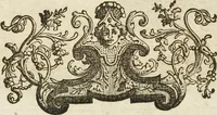 An illustration from (Band 1): ... in welchem die in sechs Classen eingetheilte Papilionen mit ihrem Ursprung, Verwandlung und allen wunderbaren Eigenschafften, aus eigener Erfahrung beschrieben und in sauber illuminirten Kupfern, nach dem Leben abgebildet, vorgestellet werden von August Johann Rösel, Miniatur-Mahlern: Nebst einer Vorrede, in welcher von dem Nutzen derer Insecten gehandelt, was sie seyen gezeiget, und von der Eintheilung dererselben Nachricht gegeben wird (1746)