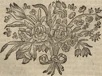 Picture 30 of 80 from (Band 2): ... welcher acht Classen verschiedener sowohl inländischer, als auch einiger ausländischer Insecte enthält (1749), leaf 238