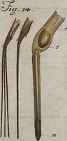 Picture 62 of 80 from (Band 2): ... welcher acht Classen verschiedener sowohl inländischer, als auch einiger ausländischer Insecte enthält (1749), leaf 537