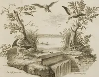 Picture 2 of 33 from Historia Natvralis Ranarvm Nostrativm in qua omnes earum proprietates / Die natürliche Historie der Frösche hiesigen Landes (1758), leaf 12