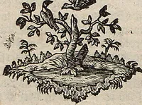 Picture 8 of 26 from (Band 4): ... in welchem auser verschiedenen in- und ausländischen Insecten, auch die hiesige grosse Kreutz-Spinne nach ihrem Ursprung, Wachsthum und andern wunderbaren Eigenschaften, aus eigener Erfahrung beschrieben und in 40. sauber illuminirten Kupfern nach dem Leben abgebildet und vorgestellet worden vo: nebst einer zuverläßigen Nachricht von den Lebensumständen des seel. Verfassers (1761), leaf 160