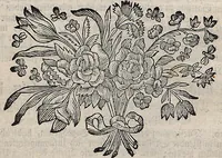 An illustration from (Band 4): ... in welchem auser verschiedenen in- und ausländischen Insecten, auch die hiesige grosse Kreutz-Spinne nach ihrem Ursprung, Wachsthum und andern wunderbaren Eigenschaften, aus eigener Erfahrung beschrieben und in 40. sauber illuminirten Kupfern nach dem Leben abgebildet und vorgestellet worden vo: nebst einer zuverläßigen Nachricht von den Lebensumständen des seel. Verfassers (1761)