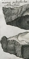 Picture 13 of 22 from Piscium Querelae Et Vindiciae (1708), leaf 37