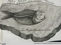 Picture 15 of 22 from Piscium Querelae Et Vindiciae (1708), leaf 40