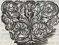 An illustration from Piscium Querelae Et Vindiciae (1708)