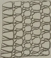 Picture 175 of 366 from (Tafelband 1): Theil 1 - 3 und Supplement 1 u. 2: Taf. I - CLXV (1775), leaf 171