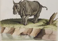 An illustration from (Tafelband 1): Theil 1 - 3 und Supplement 1 u. 2: Taf. I - CLXV (1775)