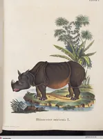 An illustration from (Tafelband 1): Theil 1 - 3 und Supplement 1 u. 2: Taf. I - CLXV (1775)
