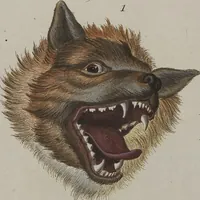 An illustration from (Tafelband 1): Theil 1 - 3 und Supplement 1 u. 2: Taf. I - CLXV (1775)