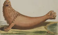 An illustration from (Tafelband 1): Theil 1 - 3 und Supplement 1 u. 2: Taf. I - CLXV (1775)