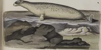 An illustration from (Tafelband 1): Theil 1 - 3 und Supplement 1 u. 2: Taf. I - CLXV (1775)