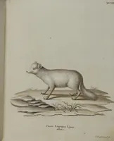 An illustration from (Tafelband 1): Theil 1 - 3 und Supplement 1 u. 2: Taf. I - CLXV (1775)