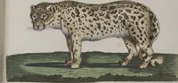 An illustration from (Tafelband 1): Theil 1 - 3 und Supplement 1 u. 2: Taf. I - CLXV (1775)