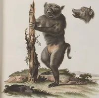 An illustration from (Tafelband 1): Theil 1 - 3 und Supplement 1 u. 2: Taf. I - CLXV (1775)