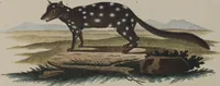 An illustration from (Tafelband 1): Theil 1 - 3 und Supplement 1 u. 2: Taf. I - CLXV (1775)