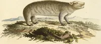 Picture 140 of 355 from (Tafelband 2): Theil 4 - 7 und Supplement 3 u. 4: Taf. CLXVI - CCCLXXXIV (1792), leaf 147