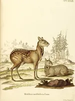 Picture 143 of 355 from (Tafelband 2): Theil 4 - 7 und Supplement 3 u. 4: Taf. CLXVI - CCCLXXXIV (1792), leaf 151