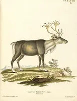 Picture 160 of 355 from (Tafelband 2): Theil 4 - 7 und Supplement 3 u. 4: Taf. CLXVI - CCCLXXXIV (1792), leaf 176