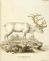 Picture 161 of 355 from (Tafelband 2): Theil 4 - 7 und Supplement 3 u. 4: Taf. CLXVI - CCCLXXXIV (1792), leaf 177