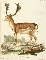 Picture 166 of 355 from (Tafelband 2): Theil 4 - 7 und Supplement 3 u. 4: Taf. CLXVI - CCCLXXXIV (1792), leaf 182