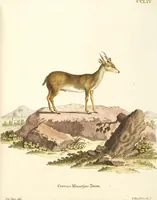 Picture 175 of 355 from (Tafelband 2): Theil 4 - 7 und Supplement 3 u. 4: Taf. CLXVI - CCCLXXXIV (1792), leaf 192