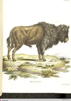 Picture 232 of 355 from (Tafelband 2): Theil 4 - 7 und Supplement 3 u. 4: Taf. CLXVI - CCCLXXXIV (1792), leaf 272