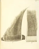 Picture 310 of 355 from (Tafelband 2): Theil 4 - 7 und Supplement 3 u. 4: Taf. CLXVI - CCCLXXXIV (1792), leaf 355
