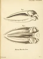 Picture 348 of 355 from (Tafelband 2): Theil 4 - 7 und Supplement 3 u. 4: Taf. CLXVI - CCCLXXXIV (1792), leaf 390
