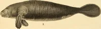 Picture 351 of 355 from (Tafelband 2): Theil 4 - 7 und Supplement 3 u. 4: Taf. CLXVI - CCCLXXXIV (1792), leaf 392