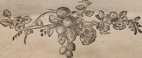Picture 1 of 3 from (Erster Theil): Der Mensch. Der Affe. Der Maki. Die Fledermaus (1775), leaf 1