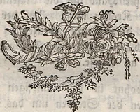 Picture 5 of 8 from (Dritter Theil): Der @Robbe. Der Hund. Die Kaze. Das Stinkthier. Der Otter. Der Marder. Der Bär. Das Beutelthier. Der Maulwurf. Die Spizmaus. Der Igel (1778), leaf 136