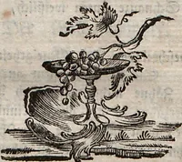 Picture 8 of 8 from (Dritter Theil): Der @Robbe. Der Hund. Die Kaze. Das Stinkthier. Der Otter. Der Marder. Der Bär. Das Beutelthier. Der Maulwurf. Die Spizmaus. Der Igel (1778), leaf 284