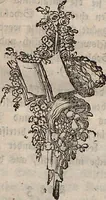 Picture 4 of 8 from (Dritter Theil): Der @Robbe. Der Hund. Die Kaze. Das Stinkthier. Der Otter. Der Marder. Der Bär. Das Beutelthier. Der Maulwurf. Die Spizmaus. Der Igel (1778), leaf 94