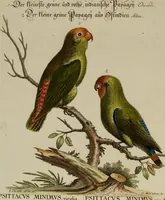 An illustration from (Band 1) (1749)