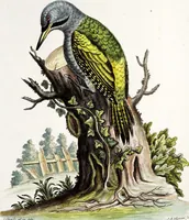 Picture 30 of 55 from (Band 3) (1753), leaf 115